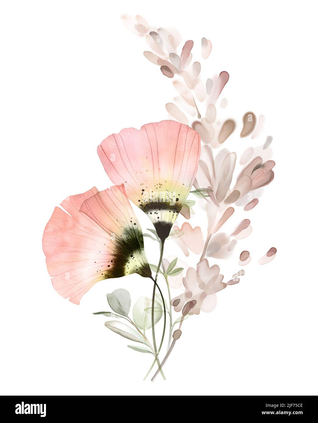 Composizione floreale acquerello. Fiori luminosi in moderno stile boho. Anemoni color pesca pastello con erba di pampas secca. Astratto dipinto a mano Foto Stock