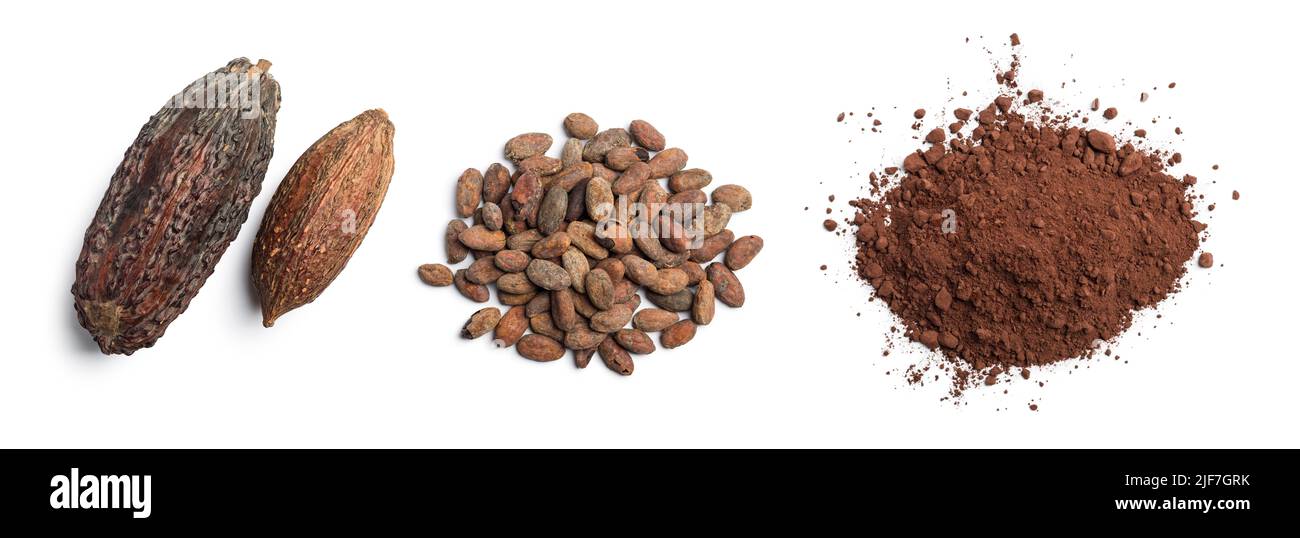 Cialde di cacao, fagioli e polvere su sfondo bianco. Concetto piatto di cibo laico. Foto Stock
