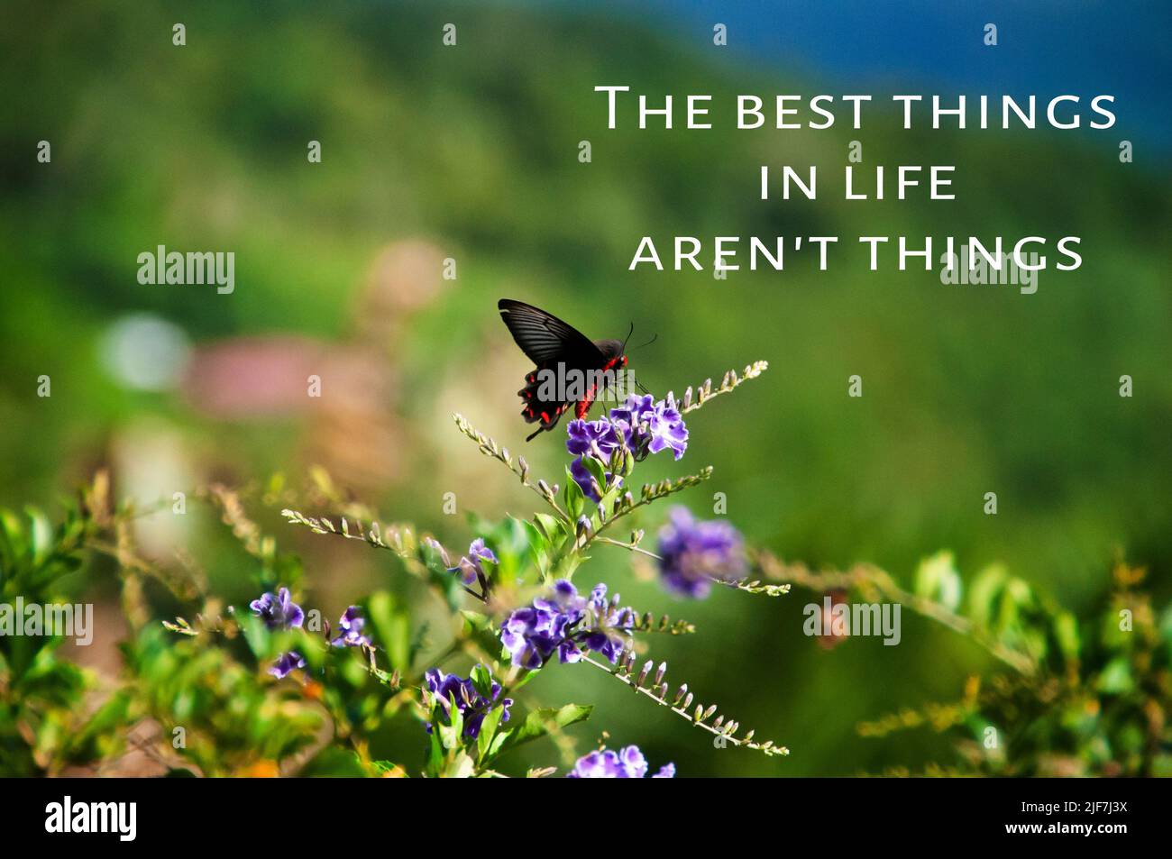 Parole ispiratrici - le cose migliori nella vita non sono cose. Farfalla e natura vista sfondo. Citazione motivazionale Foto Stock