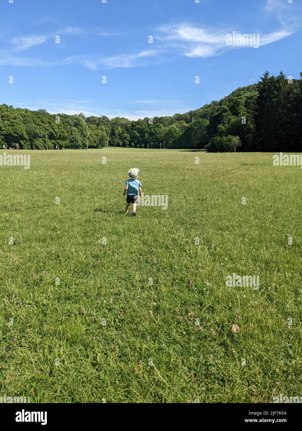 Il ragazzo corre attraverso il campo vicino alla foresta Foto Stock