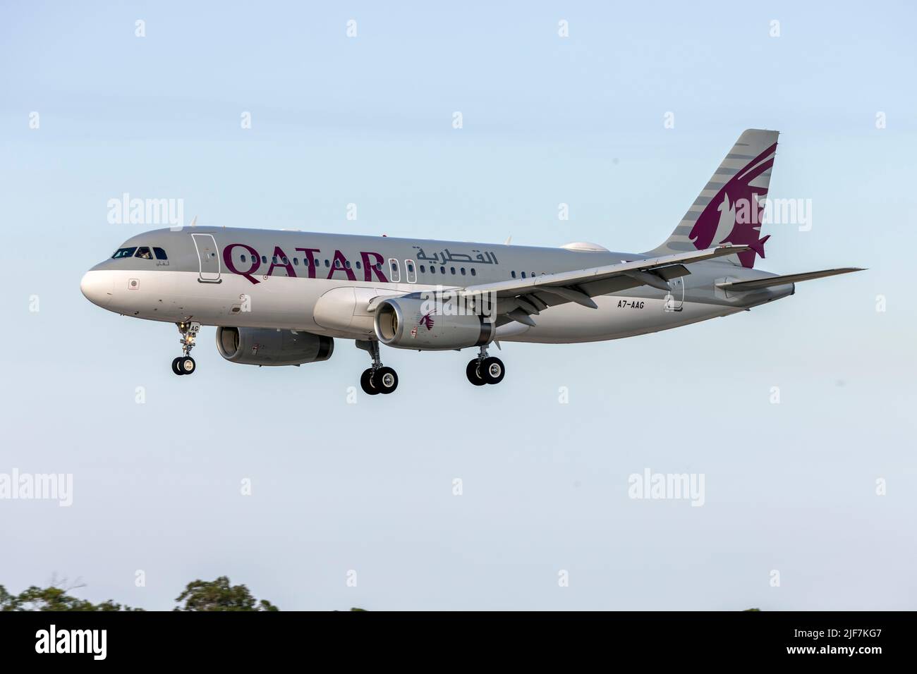 Qatar Airways (volo Qatar Amiri) Airbus A320-232 (REG: A7-AAG) in arrivo pista 31. Foto Stock