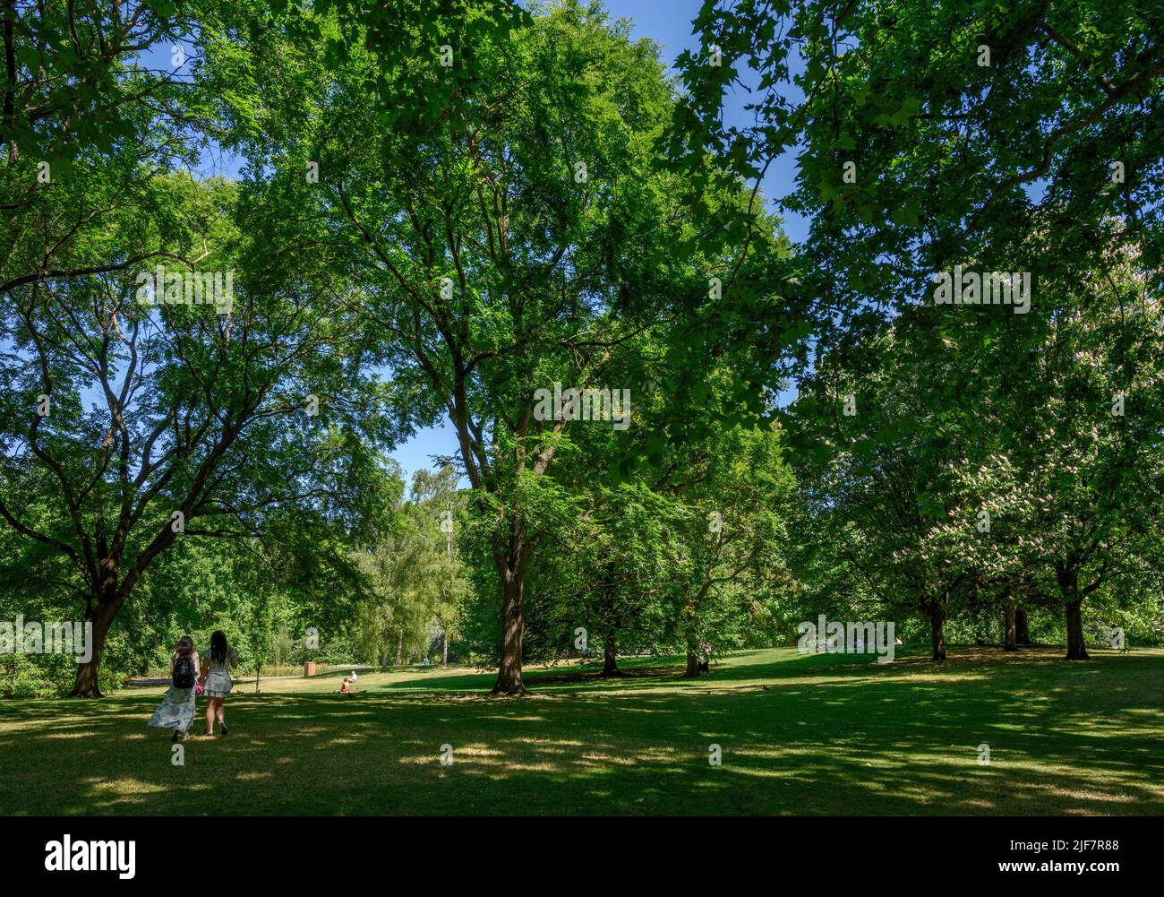 St James Park, Londra, Inghilterra, Regno Unito Foto Stock