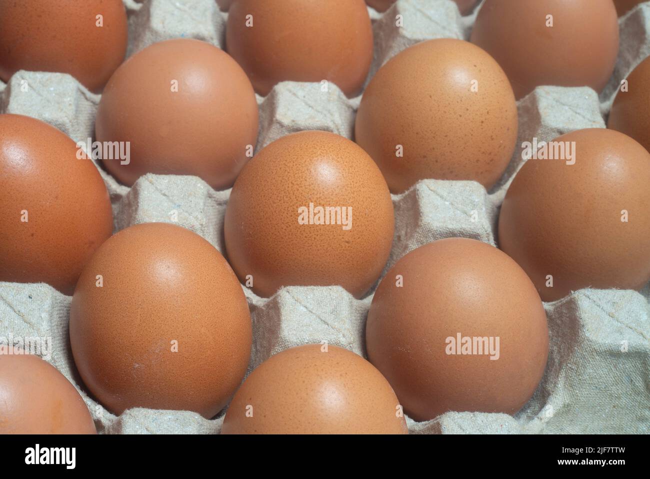 Primo piano delle uova di pollo poste in un astuccio per uova. Gli alimenti proteici sono adatti a tutti. Foto Stock Primo piano delle uova di pollo poste in un astuccio per uova. Gli alimenti proteici sono adatti a tutti. Foto Stock