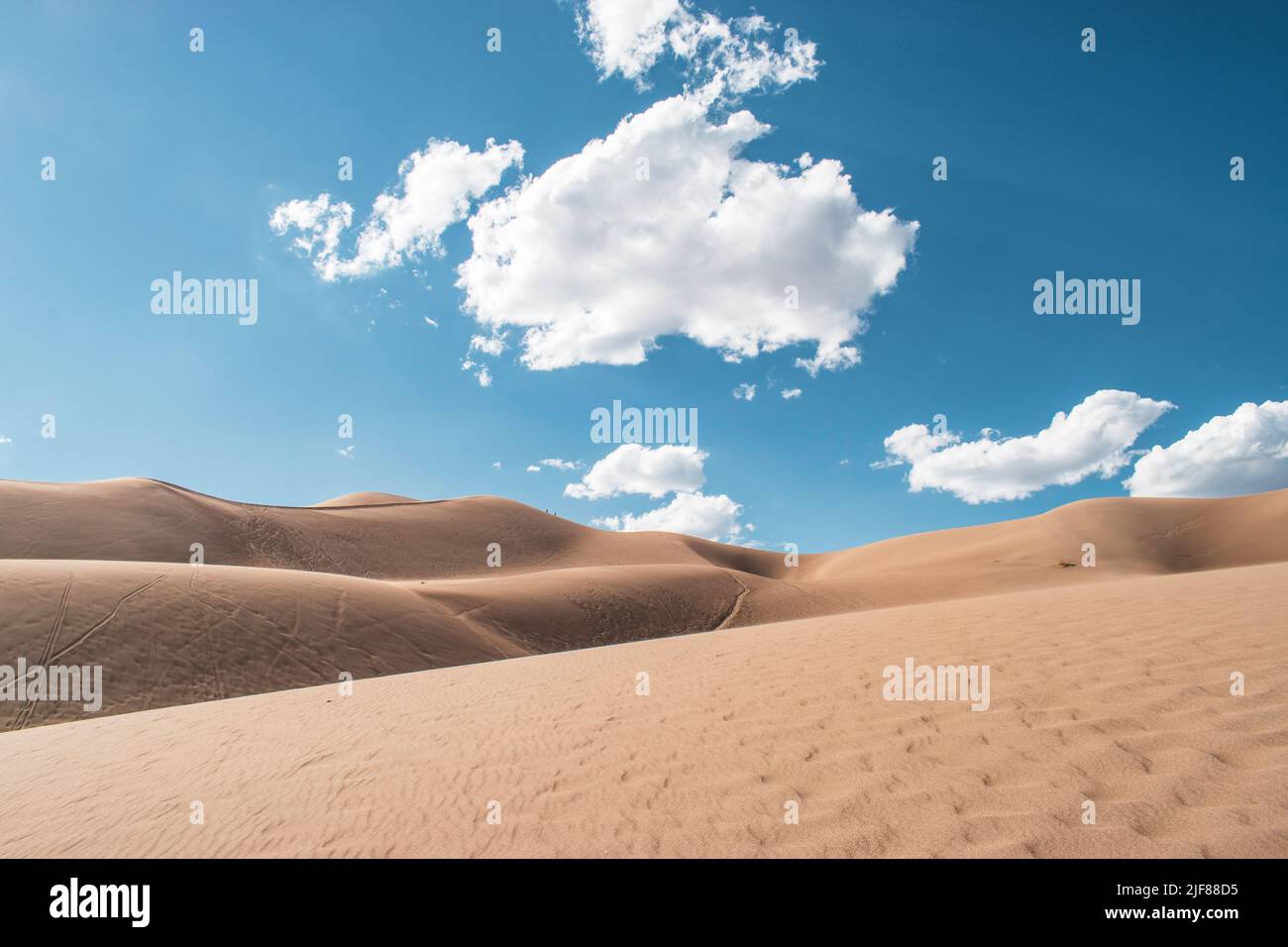 Escursioni attraverso dune di sabbia in estate Foto Stock