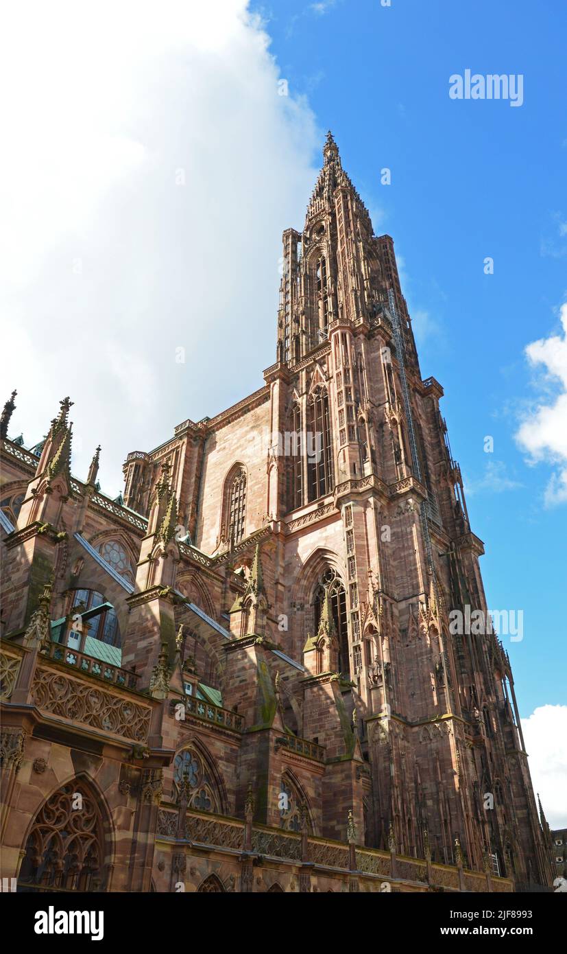 Facciata laterale della Cattedrale di Notre Dame a Strasburgo, Francia Foto Stock