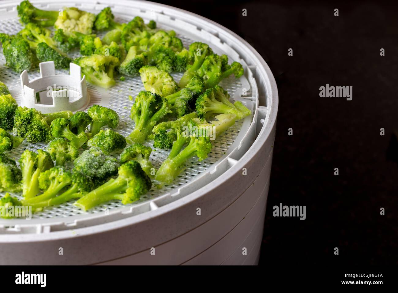 Conservare i broccoli disidratando in un essiccatore di cibo Foto Stock