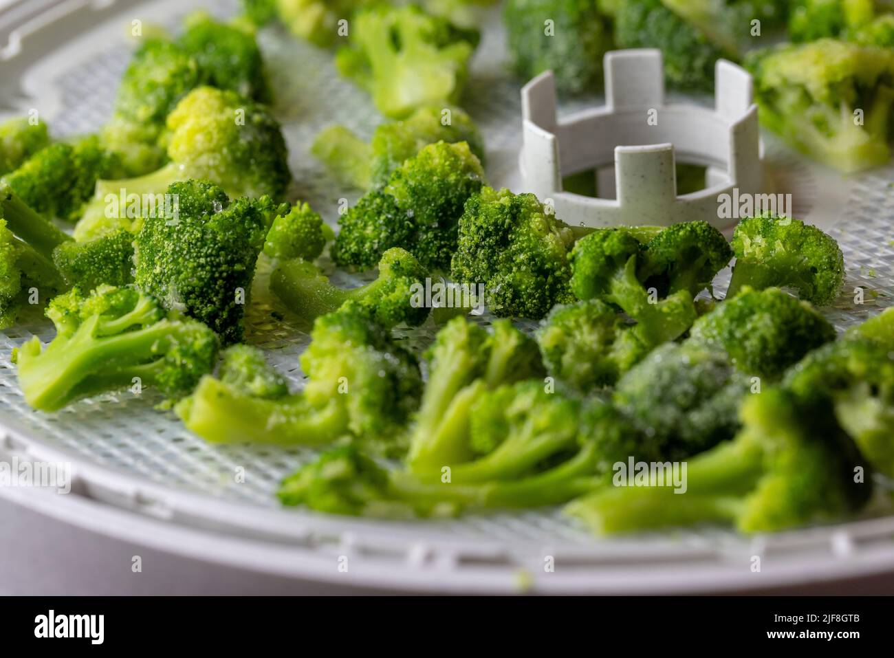 Conservare i broccoli disidratando in un essiccatore di cibo Foto Stock