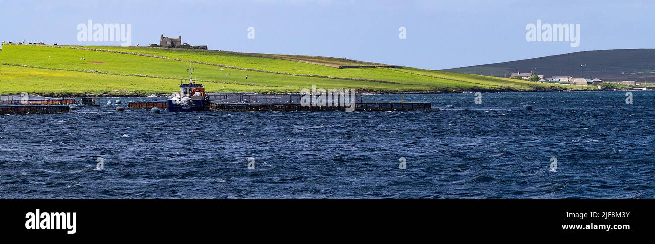 Una fattoria scozzese di salmone vicino alla costa di Eday, Isole Orkney Foto Stock