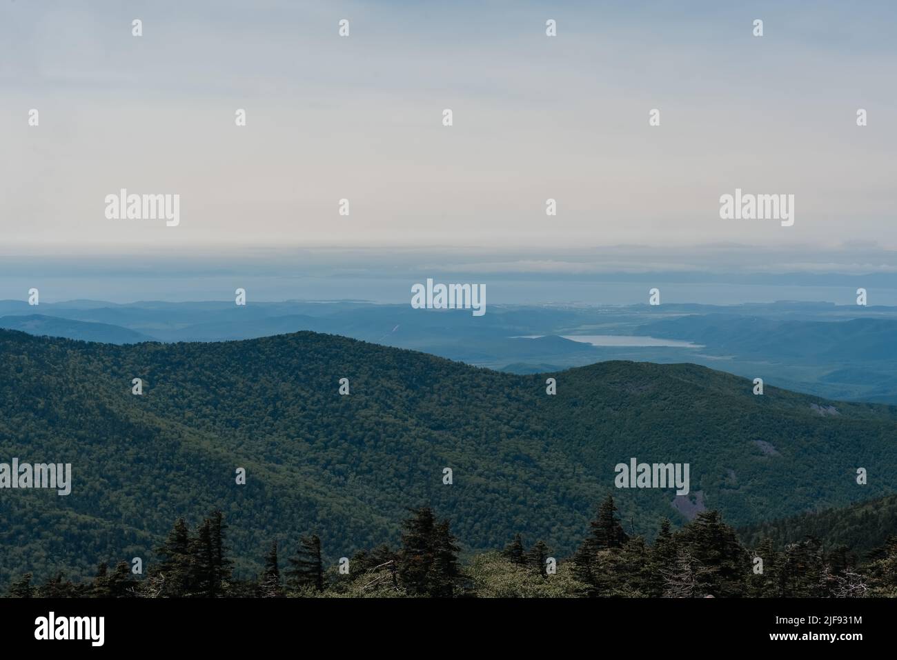 Paesaggio di montagna. Vista dal Monte Pidan. Vetta della montagna Livadia. Russia. Vladivostok. Foto di alta qualità. Foto di alta qualità Foto Stock