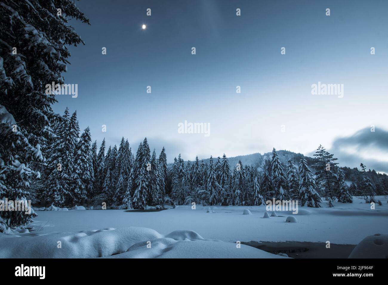 Vista sognante del lago ghiacciato di Lispach in Vosgi (Francia) all'ora blu con la luna nel cielo Foto Stock