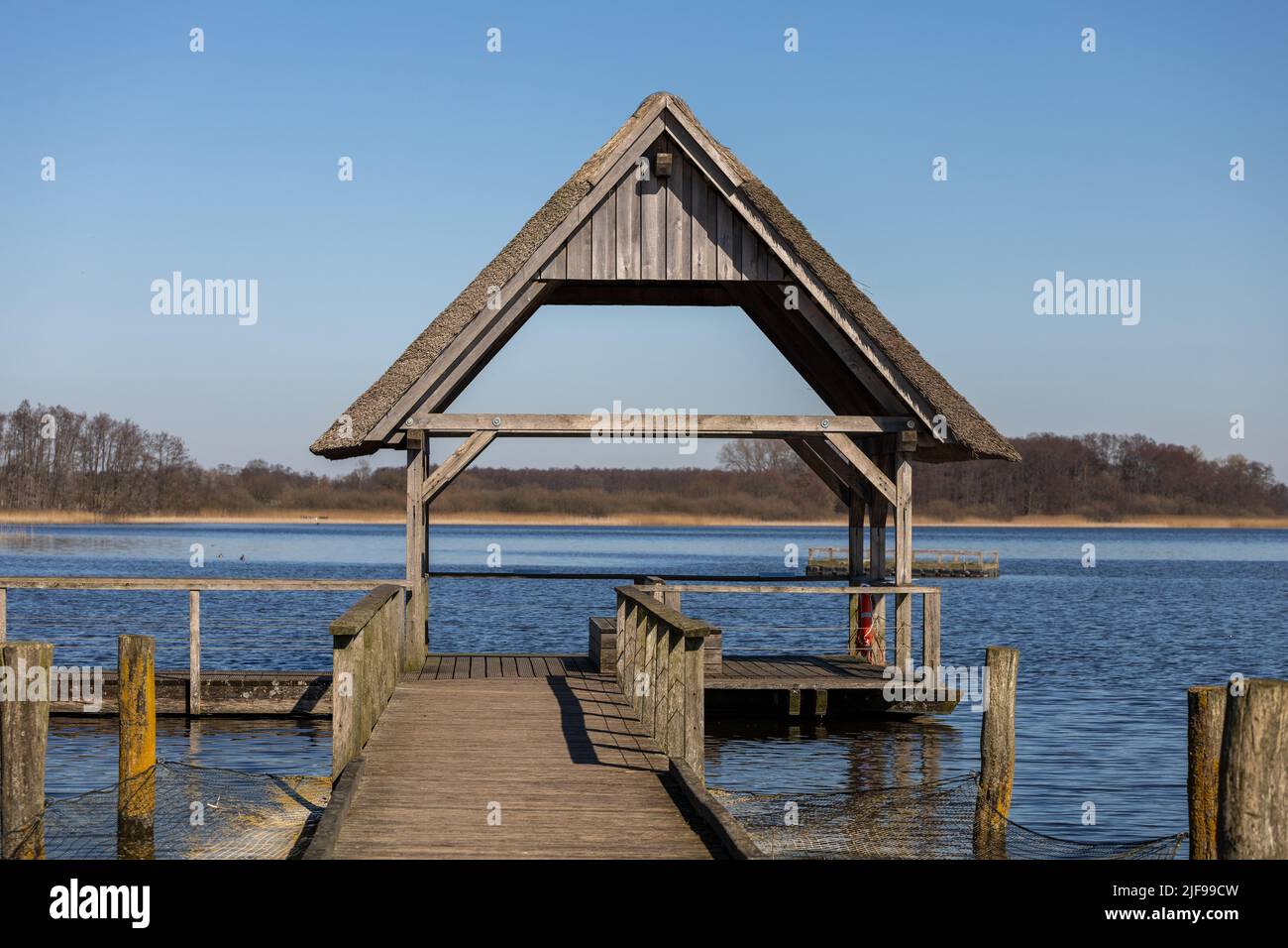 Un molo di legno a Hemmelsdorfer See Lake, East Schleswig-Holstein, Germania Foto Stock