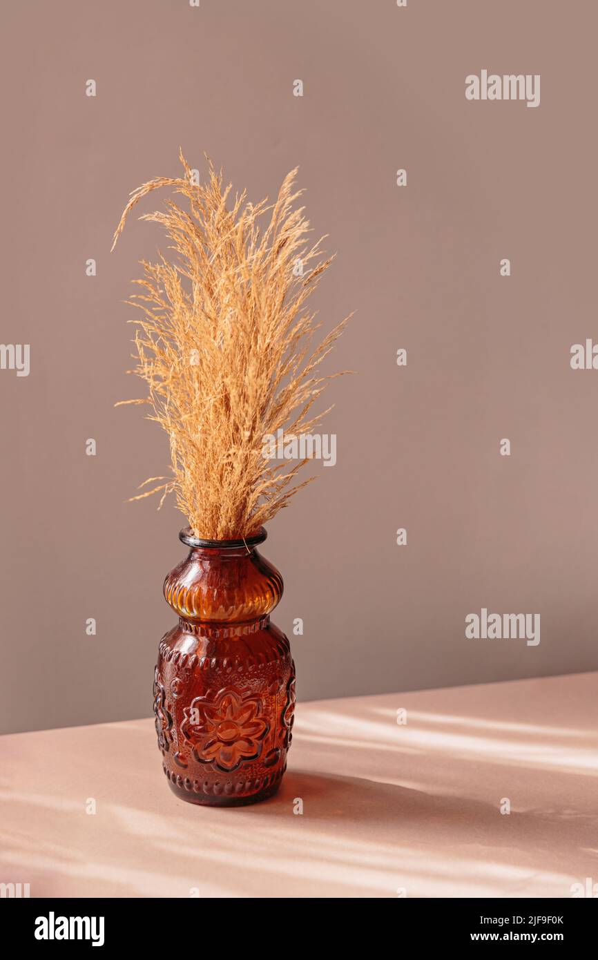 Erba naturale essiccata di pampas in vaso marrone Foto Stock