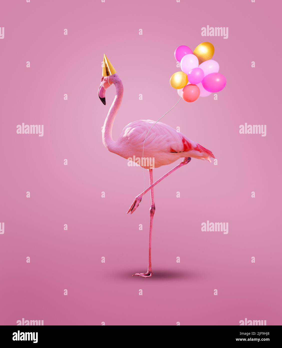 Fenicottero rosa in berretto di compleanno con palloncini di elio partito Foto Stock