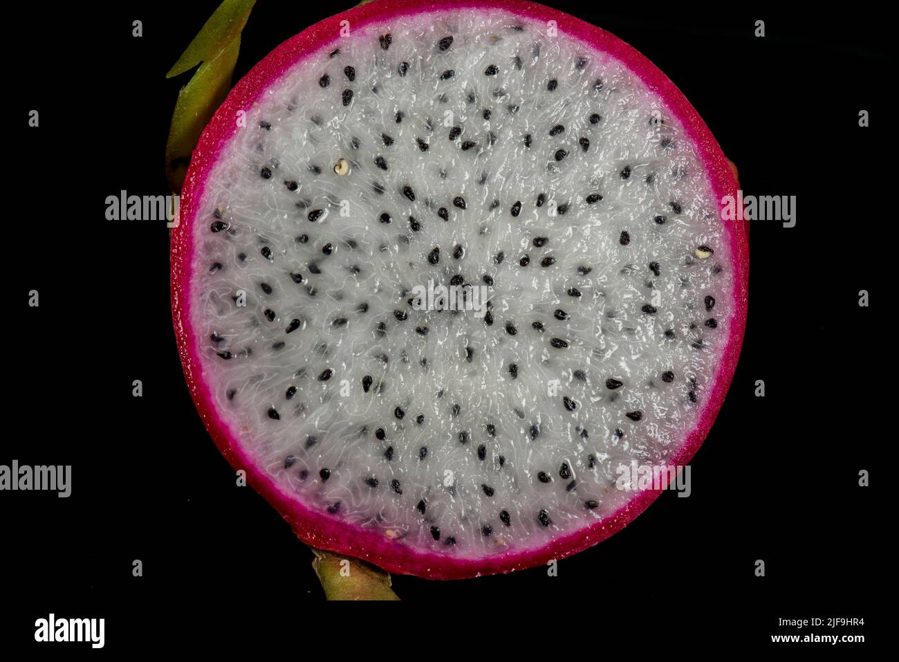 Drago frutta Selenicereus sp. - sezione di taglio. Luce visibile Foto Stock