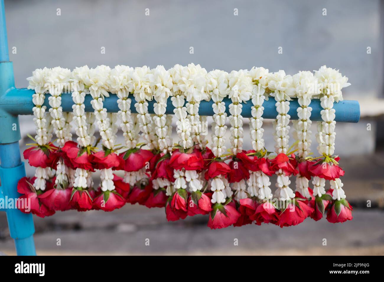 Gelsomino fresco mescolato con rosa rossa e ghirlande fiore corona appeso per la vendita al dettaglio Foto Stock