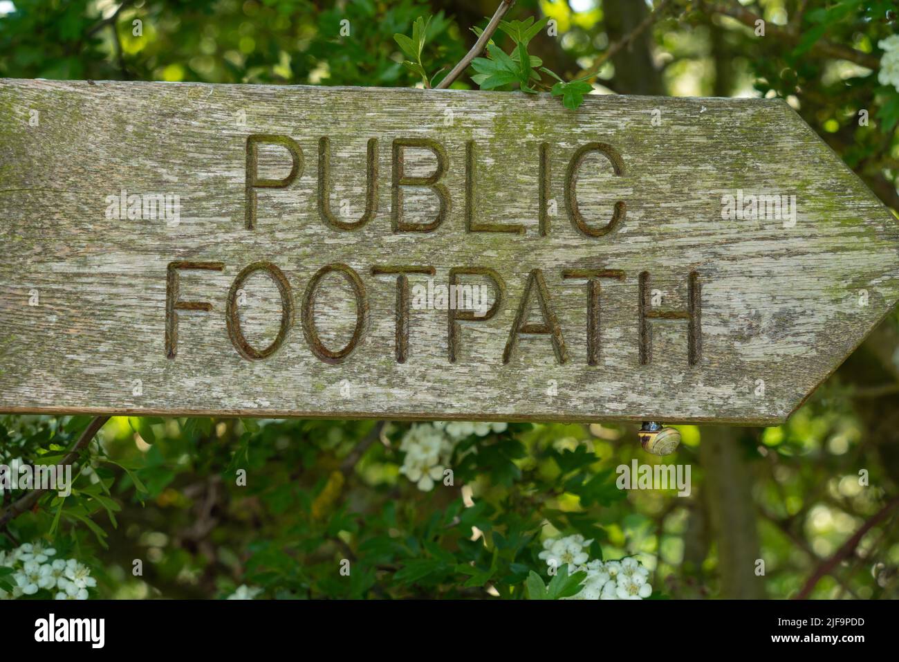 Camminando, sentiero, percorso, brambles, hedgerow, corsia stretta, alberi, corsia verde, sentiero pubblico, cartello, corsia di campagna, escursionisti, bastioni, a destra di modo. Foto Stock