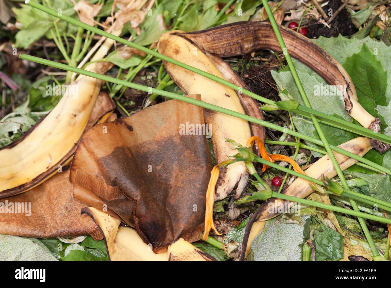 Cumulo di compost in un giardino, Germania Foto Stock
