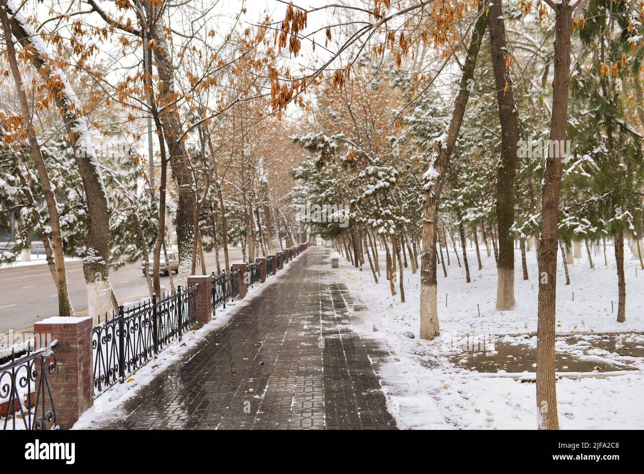 Marciapiede autunnale innevato su Mustakillik Avenue a Tashkent, Uzbekistan Foto Stock