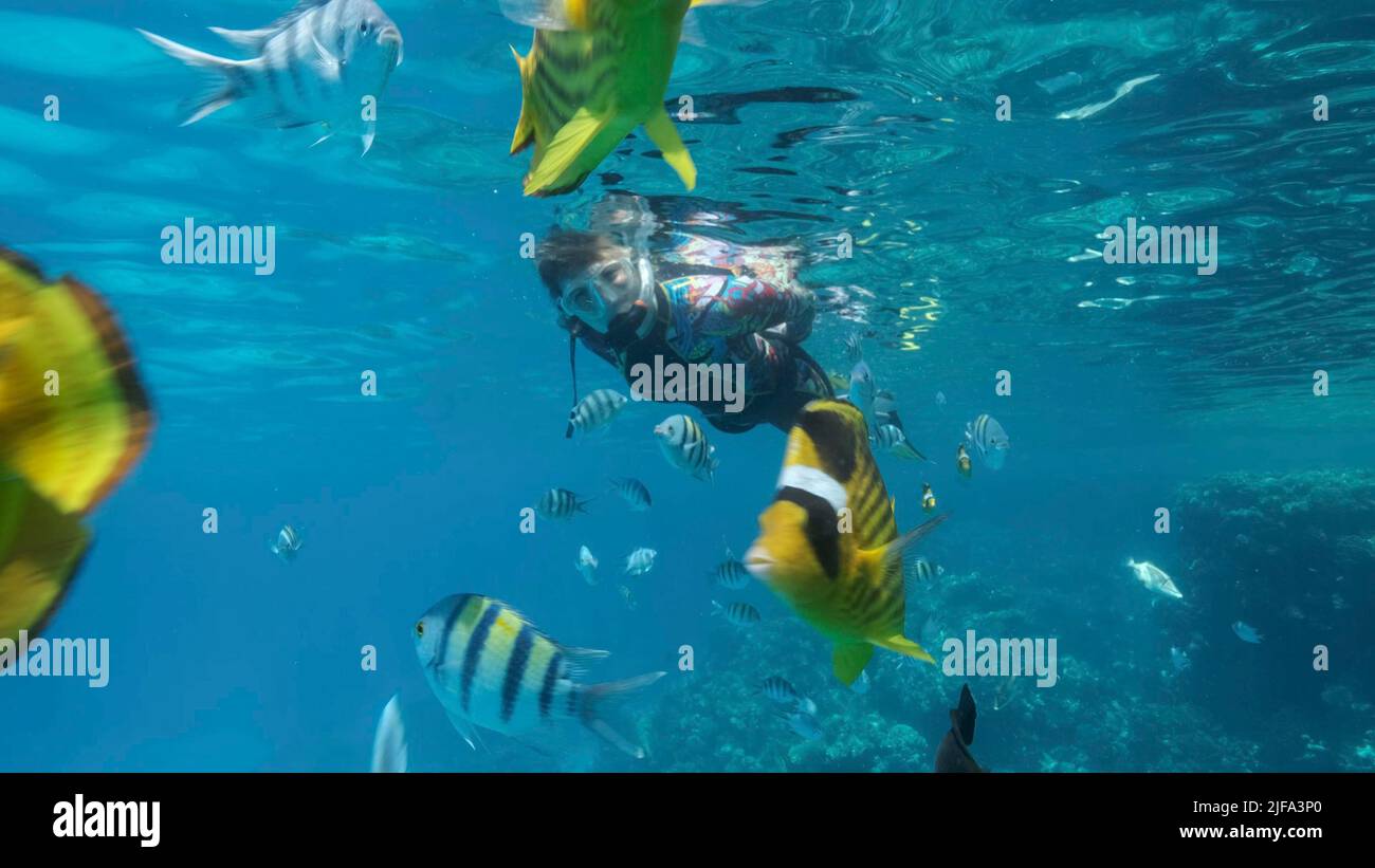 La donna in attrezzatura subacquea nuota sulla superficie dell'acqua e guarda la vita marina. Una donna che fa snorkeling nuota sott'acqua e guarda i tropici Foto Stock