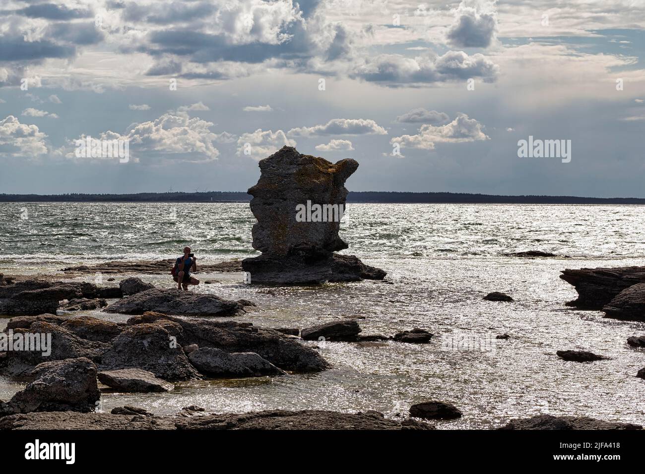 Fotografando Raukar nel bacino del porto precedente, Gamle Hamn o Gamla Hamn, controluce, Faroe Island, Faroe, Gotland, Mar Baltico, Svezia Foto Stock