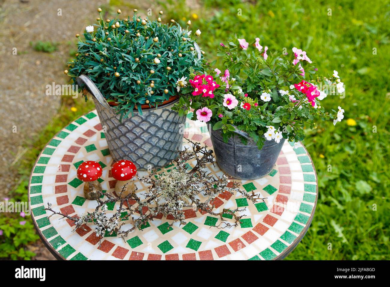 Vita morta, piante in vaso, su tavola rotonda, mosaico, albut, campo vecchio, Parte dell'ex area di addestramento militare Muensingen, ex militare e. Foto Stock