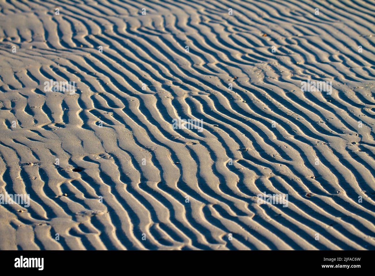 Modelli astratti su una spiaggia Foto Stock