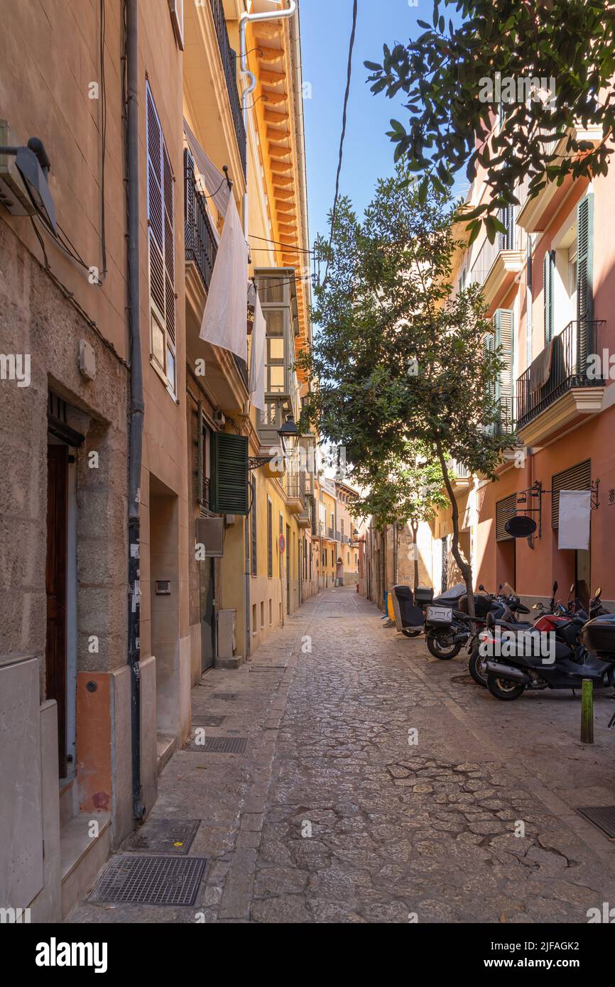 Strada nella città di Palma sull'isola di Maiorca Foto Stock