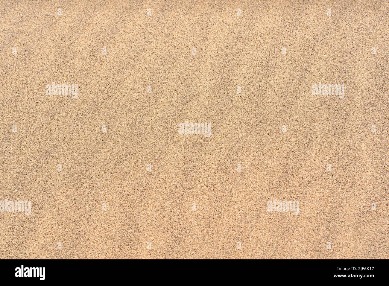 sfondo - giallo sabbia deserto primo piano Foto Stock