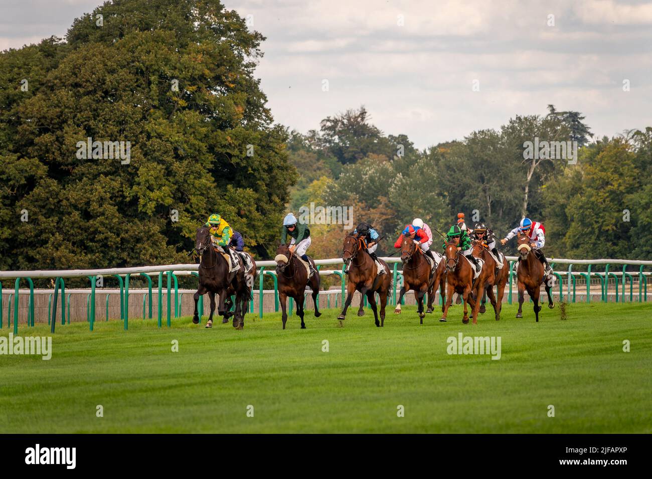 Primo piano di cavalli e jockey sul circuito di Chantilly, Francia Foto Stock