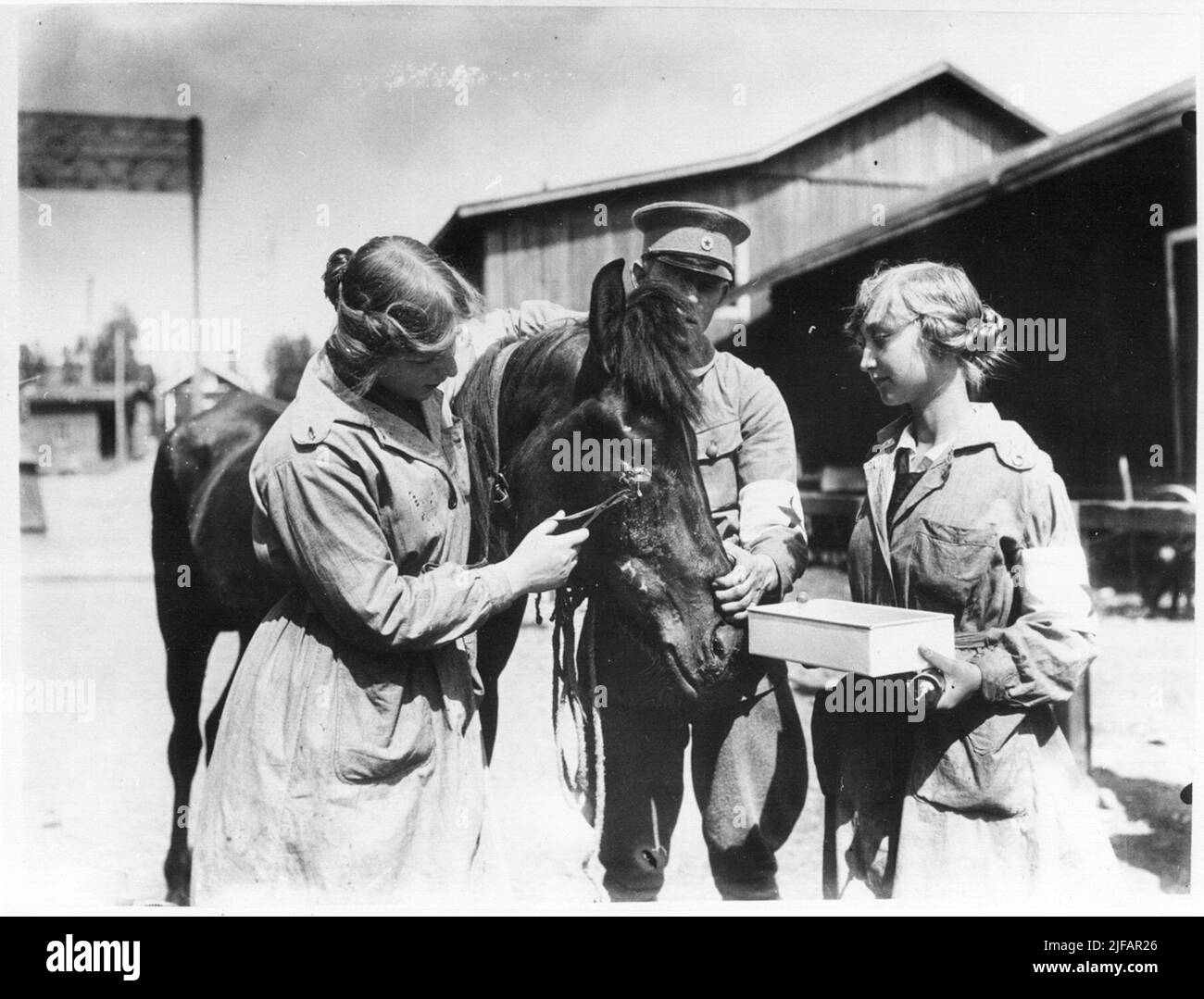 La donna esamina il cavallo con l'occhio danneggiato, l'ambulanza finlandese, i cavalli in un edificio recintato esterno nel 1918 la donna esamina un cavallo con l'occhio danneggiato, l'ambulanza finlandese, i cavalli in un edificio recintato esterno 1918 la foto è inclusa nella suite di immagini del Museo dell'esercito che mostra le operazioni della stella rossa svedese/stella blu svedese. Già alla fine del 1914, in Svizzera, si era formato un patto internazionale di associazioni per l'assistenza agli animali sui campi di battaglia, chiamato la stella rossa L Etoile rouge. In Svezia, nel 1917 il Comitato per la preparazione femminile ha invitato rappresentanti di intere Foto Stock