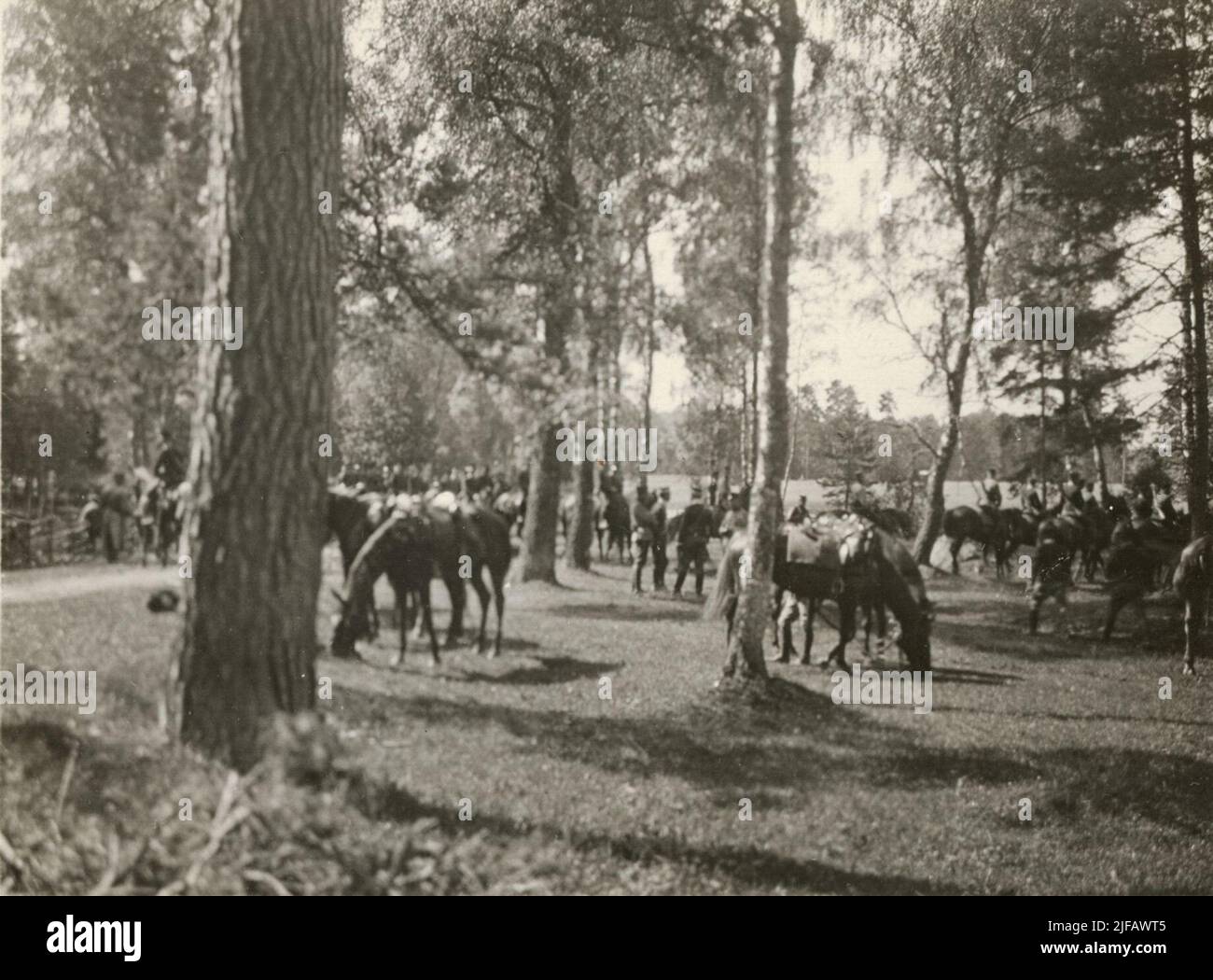 Soldati di cavalleria degli Husars K 3 del Life Regiment con i loro cavalli al margine della foresta. Foto Stock