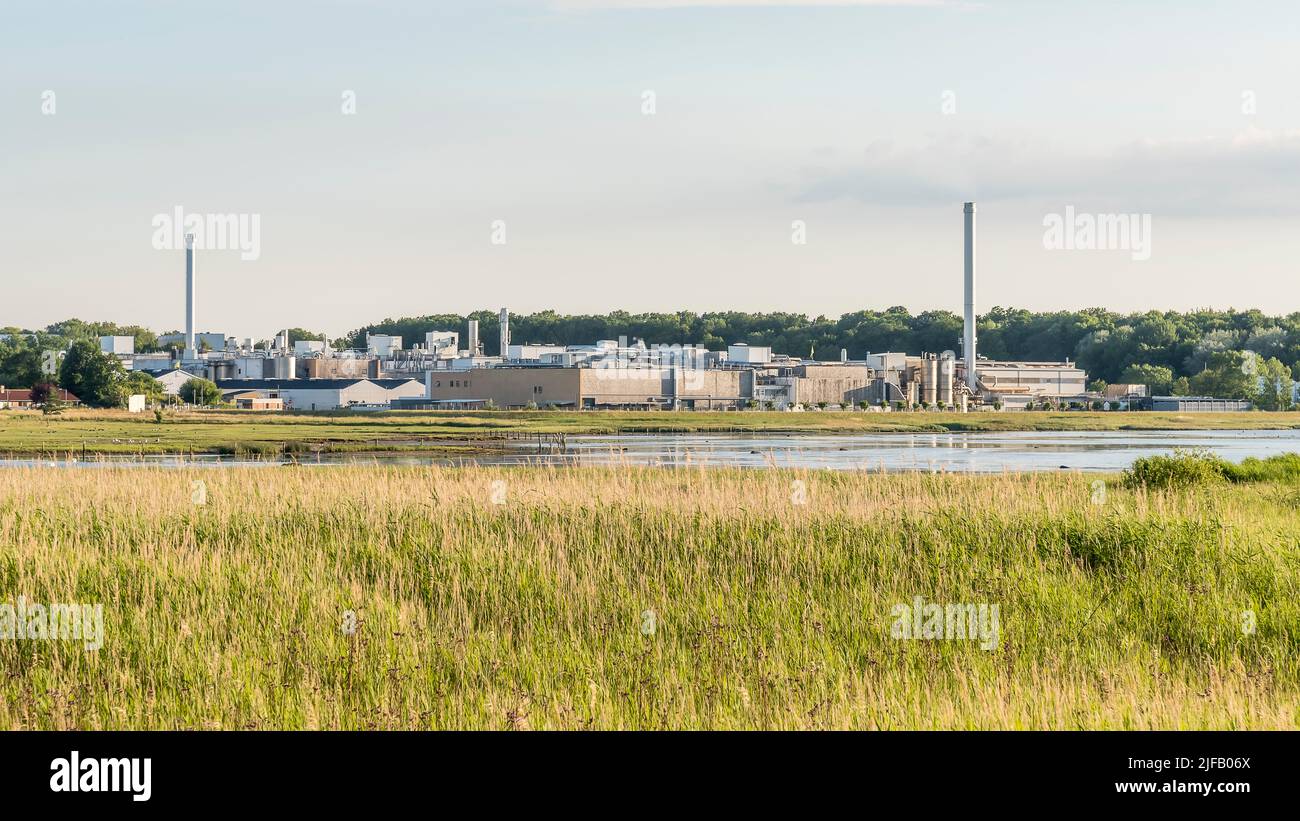 Stabilimento catalizzatore Haldor Topsoe al Roskilde firth di Frederikssund, Danimarca, 28 giugno 2022 Foto Stock