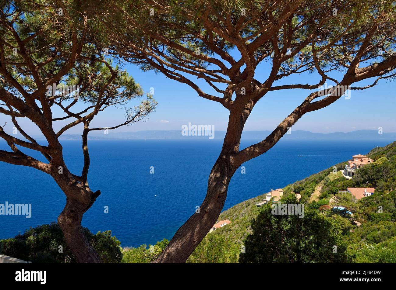 Francia, Var, Iles d'Hyeres, Parc National de Port Cros (Parco Nazionale di Port Cros), le Levant isola, Heliopolis città naturista, ville con vista sulla terraferma Foto Stock