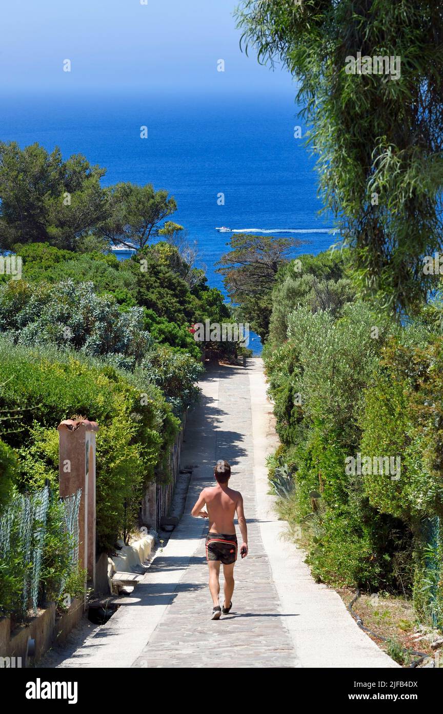 Francia, Var, Iles d'Hyeres, Parc National de Port Cros (Parco Nazionale di Port Cros), le Levant isola, Heliopolis città naturista, percorso della prospettiva, l'asse centrale del villaggio Foto Stock