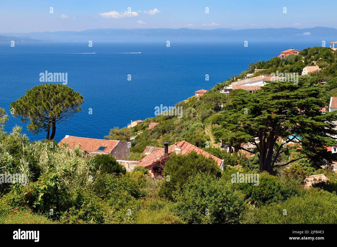 Francia, Var, Iles d'Hyeres, Parc National de Port Cros (Parco Nazionale di Port Cros), le Levant isola, Heliopolis città naturista, ville con vista sulla terraferma Foto Stock