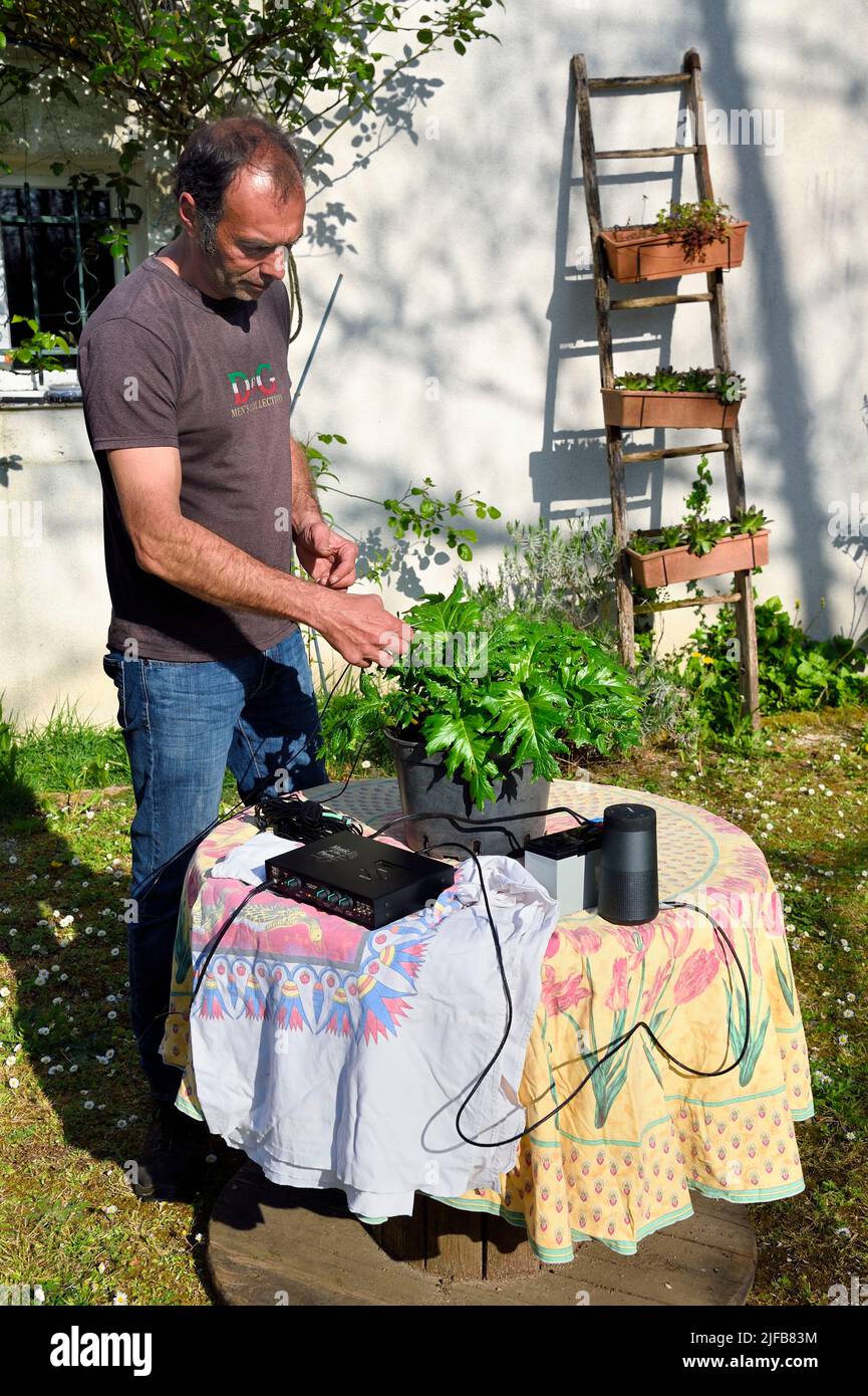 Francia, Charente, Chazelles, ma Nouvelle vie (My New Life) Giardino Botanico creato da Marc Buergo, egli sperimenta genodico o l'arte di fare cantare piante, qui un acanthus Foto Stock