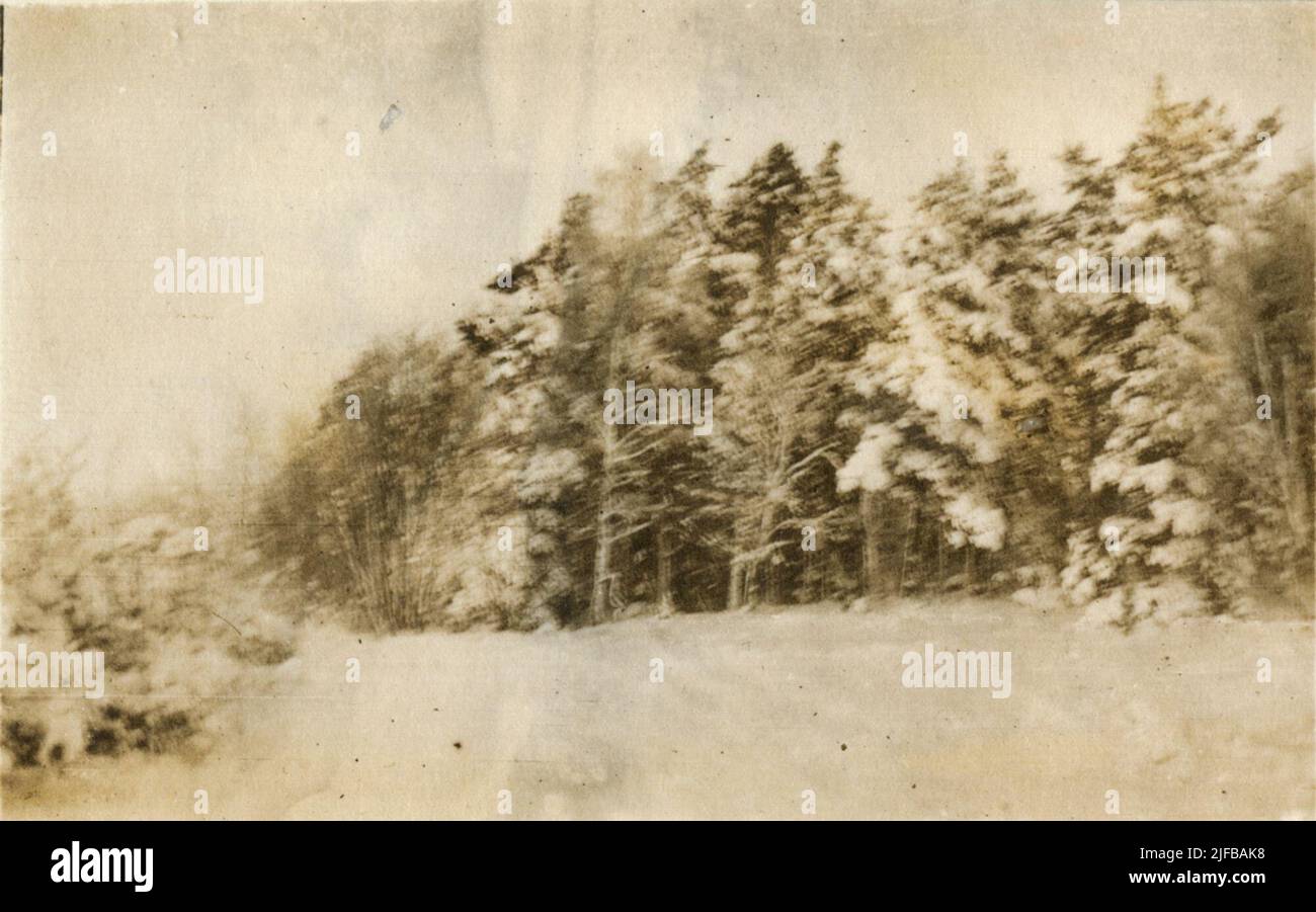 Paesaggio invernale, la fotografia ha preso in relazione con gli esercizi invernali per gli studenti della scuola di guerra di Karlberg, probabilmente a Åre. Foto Stock