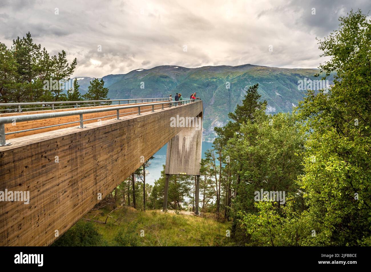 Norvegia, Contea di Sogn og Fjordane, la vecchia strada che collega Aurland ai venti di Laerdal sulle alture di Aurland, fino a raggiungere il punto di vista impressionante di Stegastein: Una lunga passerella di acciaio e legno laminato di 30 m di lunghezza e 4 m di larghezza che emerge dalla montagna, 650 m sopra la pineta, offrendo una vista a volo di uccello del Sognefjord Foto Stock