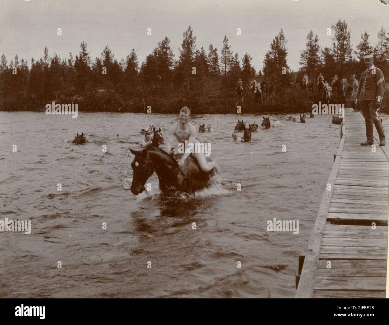 Gli studenti della scuola Kavalle di Umeå nuotano con i cavalli a Piparbölesjön. Foto Stock