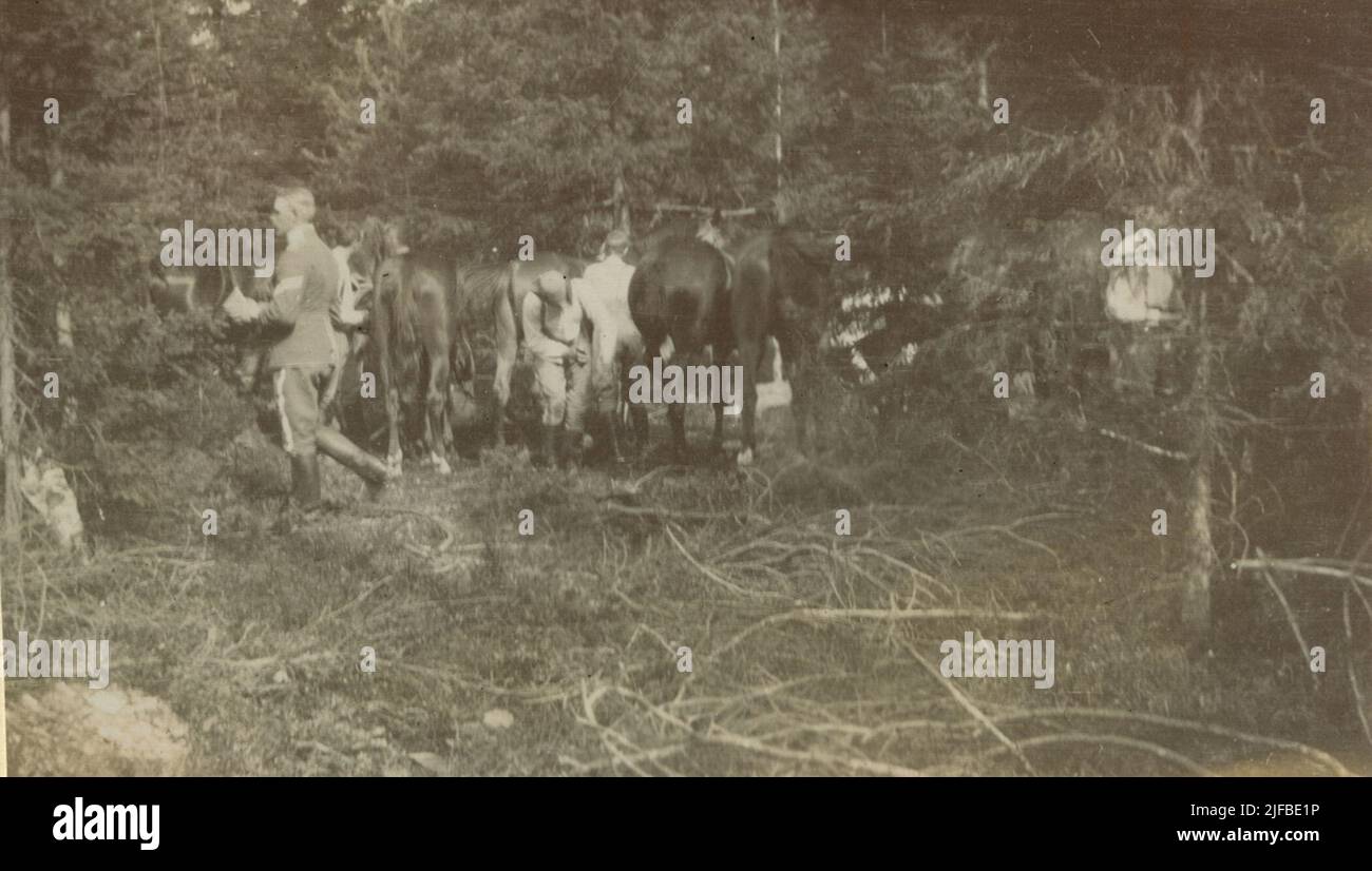 Gli studenti della scuola di Cavalleria fanno voce ai cavalli della foresta, Umeå. Foto Stock
