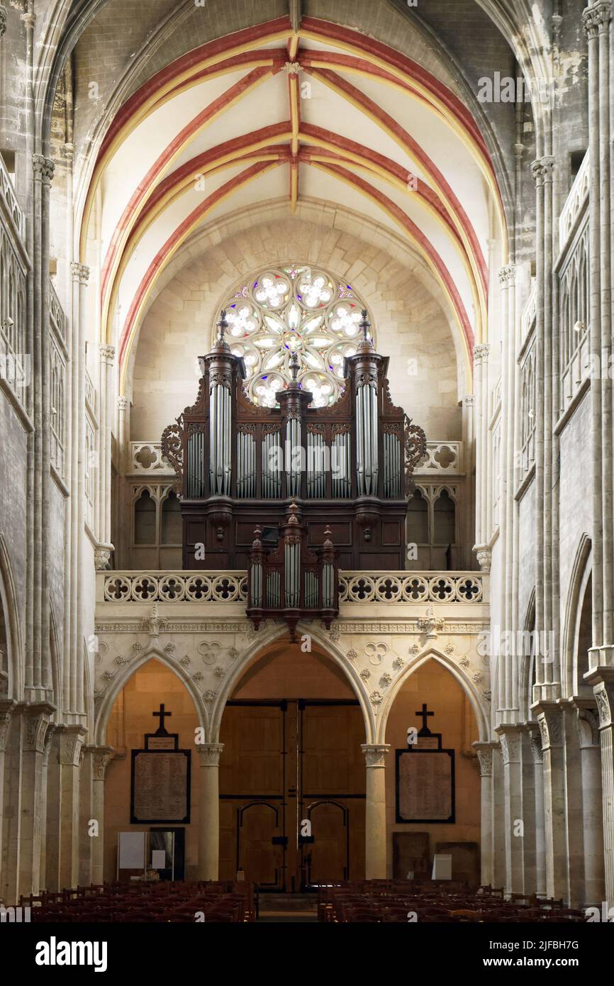 Francia, Saone e Loira, Chalon sur Saone, Piazza Saint Vincent, Cattedrale di Saint Vincent, grandi organi Foto Stock