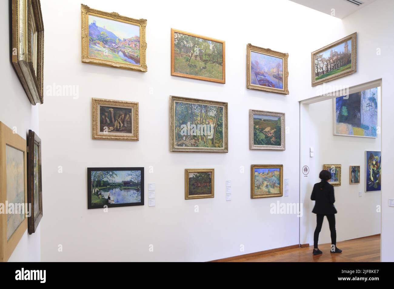 Francia, Nord, Roubaix, la piscine (André-diligent museo d'arte e dell'industria), sala dedicata ai dipinti Foto Stock