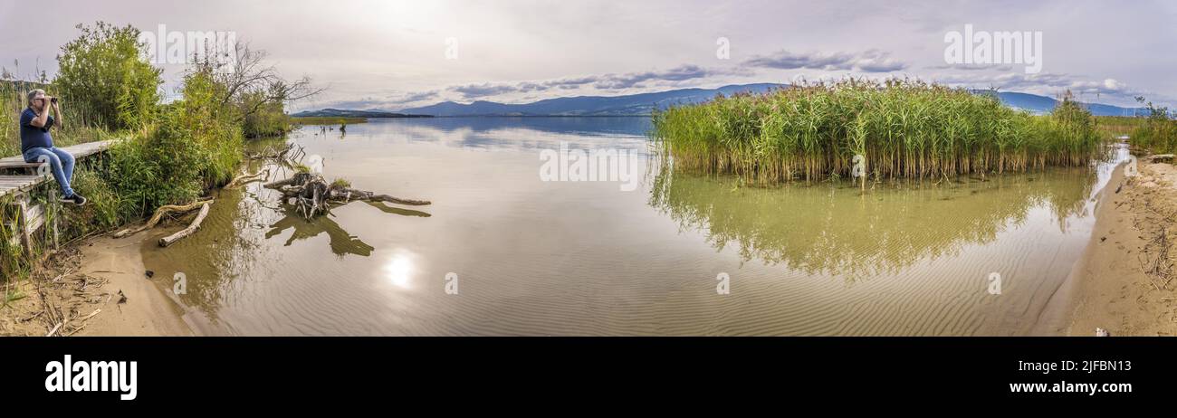 Svizzera, Canton Friburgo, Pays des Trois-Lacs, vista panoramica della riserva naturale Grande Cariaie sulle rive del Lago Neuchâtel Foto Stock