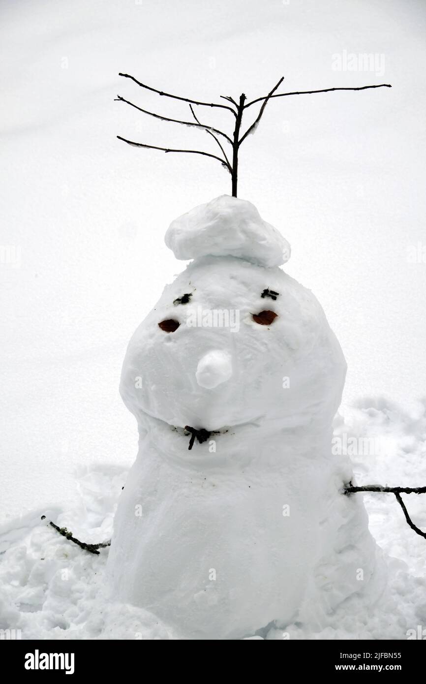 Francia, Territoire de Belfort, Belfort, snowman, inverno Foto Stock