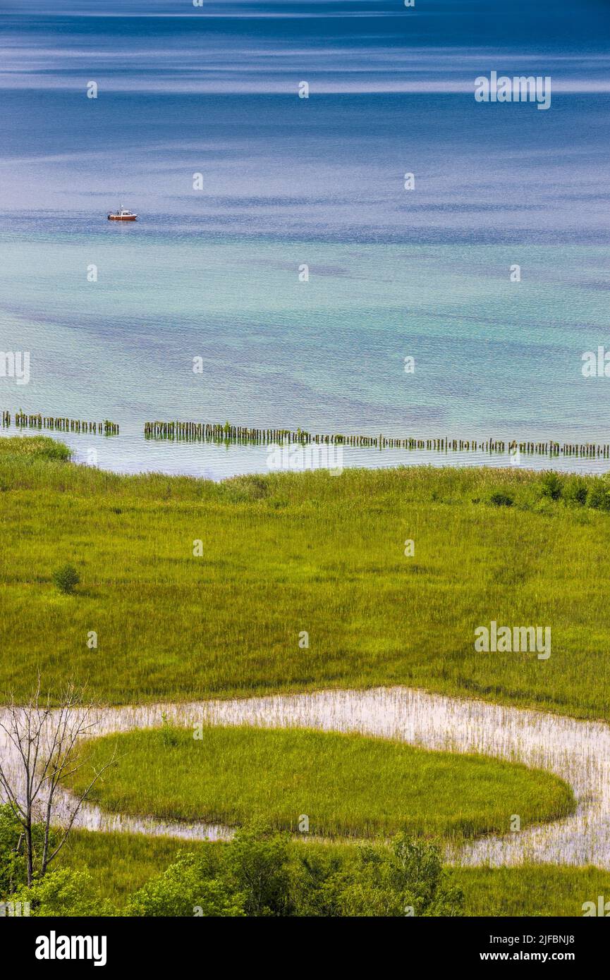 Svizzera, Canton Friburgo, Pays des Trois-Lacs, Riserva Naturale Grande Cariaie sulle rive del Lago di Neuchâtel Foto Stock