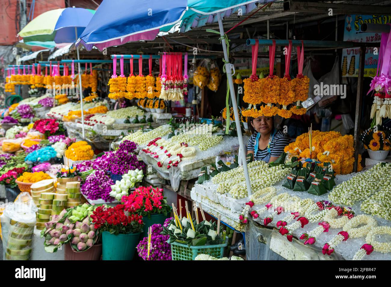 Ton Lamyai Mercato dei Fiori, Chiang Mai, Thailandia Foto Stock