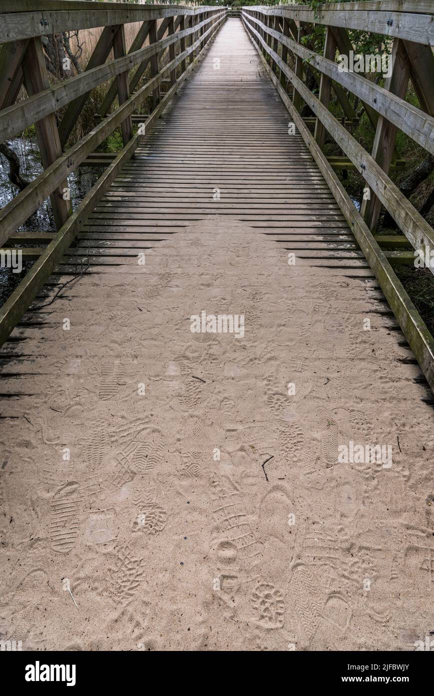 Motivi di impronta in sabbia su un passaggio di legno da una spiaggia con il resto del lungo passaggio che arriva ad un punto delicatamente messo a fuoco in distanza. Foto Stock