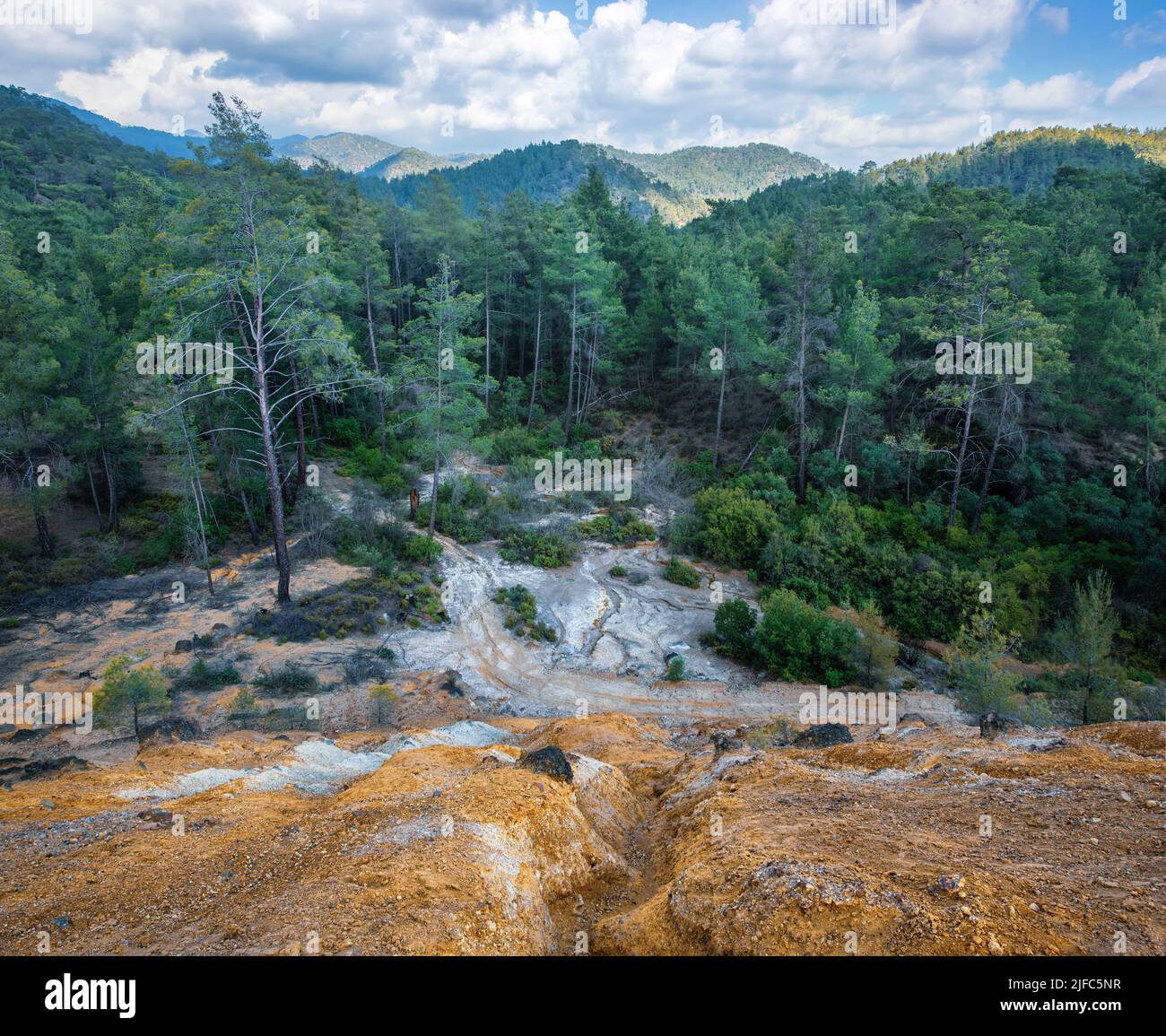 Foresta inquinata con prodotti chimici da miniera di pirite abbandonata. Pini che crescono sulle saracche delle mine nella foresta di Paphos, Cipro Foto Stock
