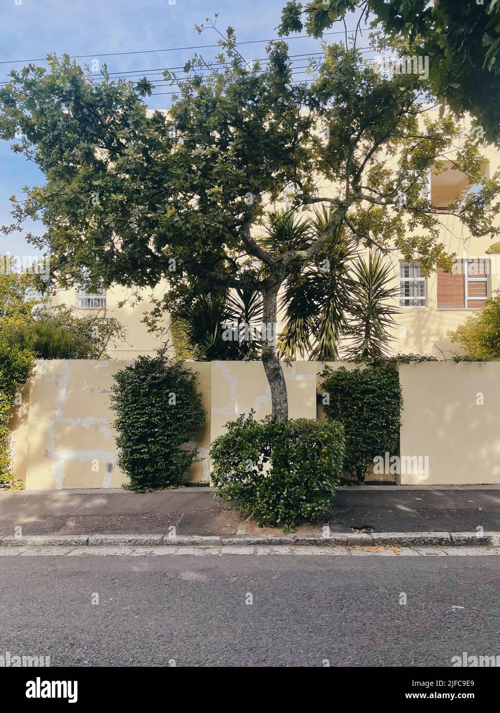Gli alberi e le piante belle fuori di un edificio Foto Stock