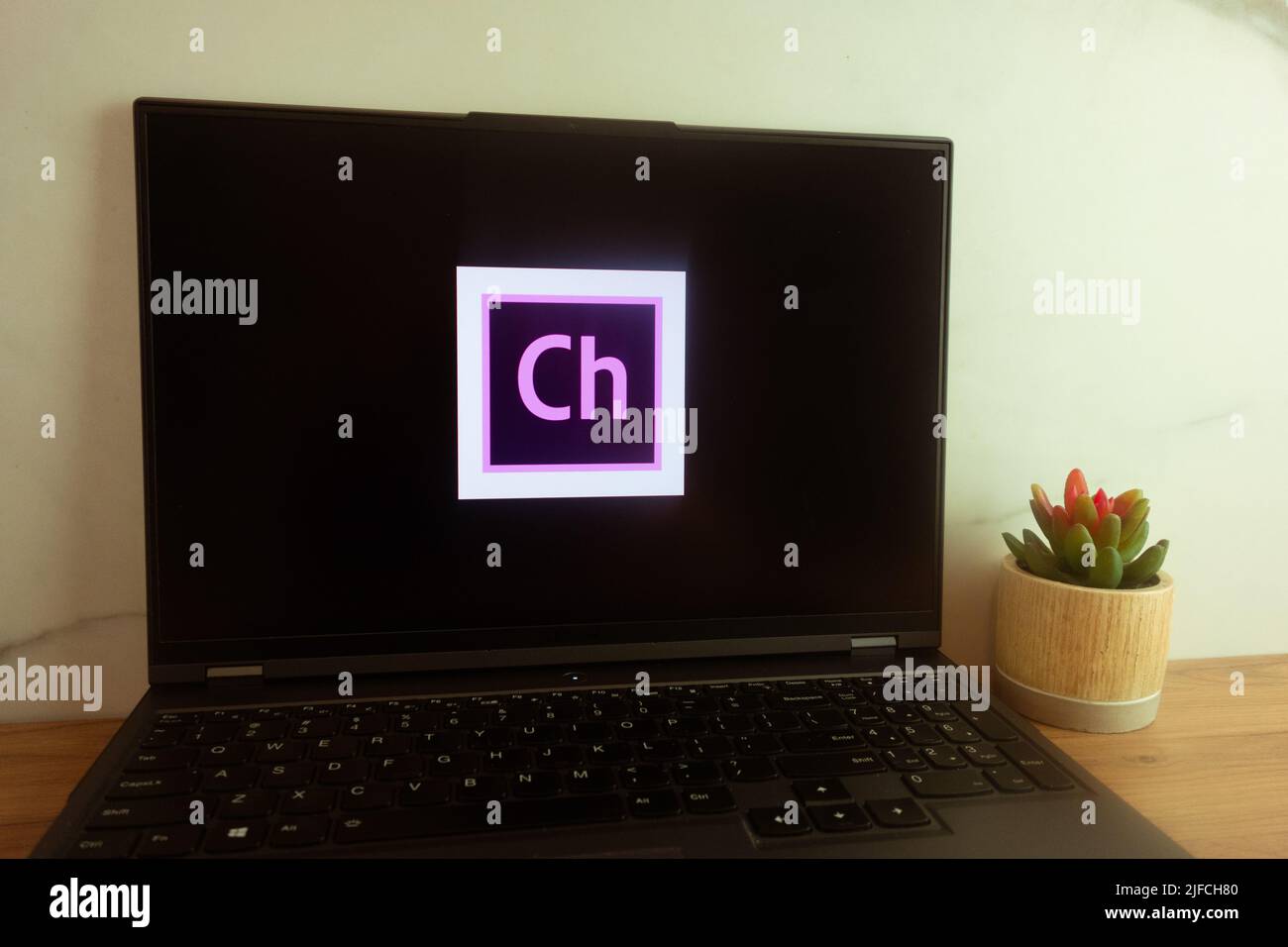 KONSKIE, POLONIA - 30 giugno 2022: Logo Adobe Character Animator visualizzato sullo schermo del computer portatile Foto Stock